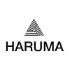 Автозапчасти HARUMA